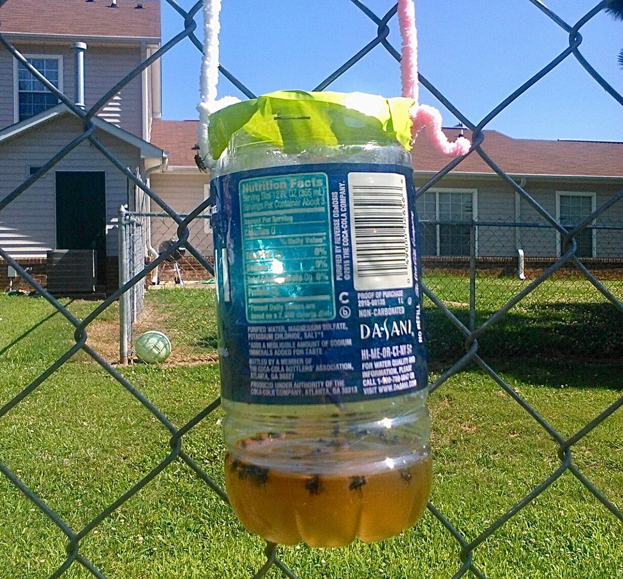 DIY Home Made Fly Trap 2 Liter Bottle