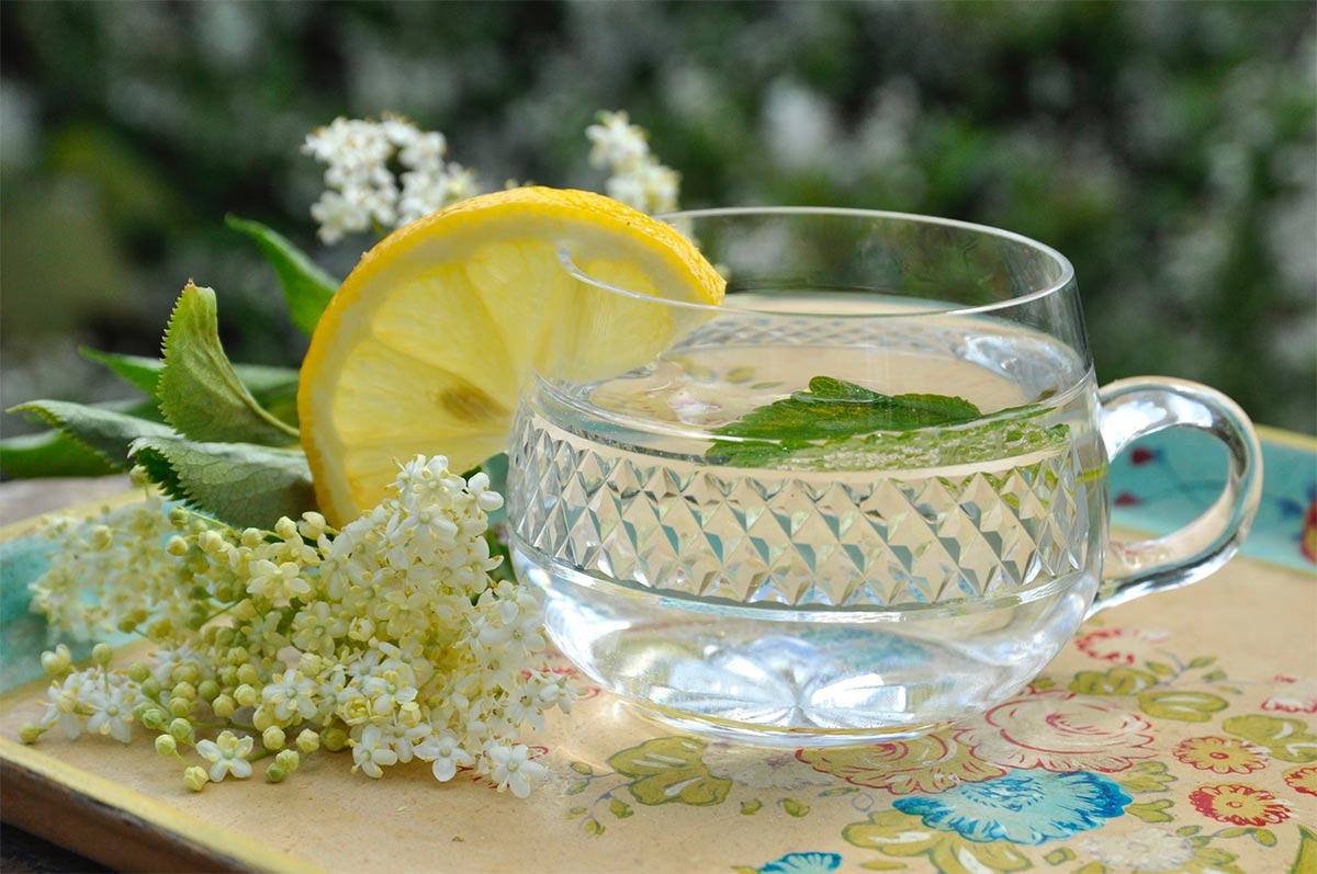 Healthy Elderberry Elderflower Tea Tonic Drink Recipe